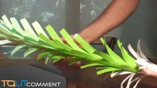 Faire un arbre extensible en papier
