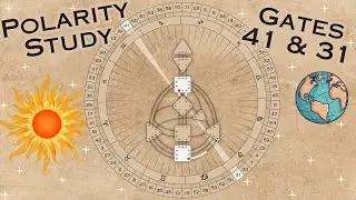 ~ Gates 41/31 ~ Polarity Exploration ~