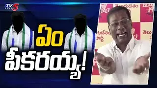 ఏం పీకరయ్య! | TDP Anam Venkata Ramana Reddy Comments on YSRCP | CM Jagan | TV5 News