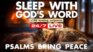 Calm arrives without instruction. Bible reading for sleep steadies attention.