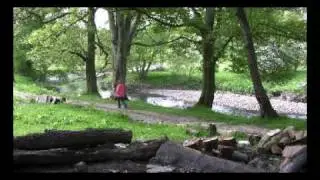 Blackburn Witton Park and the Beamers Trail