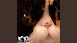 CHAOS TECHNIQUE