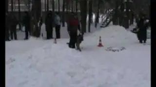 100207 rr1_10 Jordan.wmv