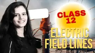 Electric Field Lines Explained | Class 12 Physics | Properties & Visualization