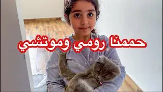 بتول ومريم حمموا وسبحوا القط شوفوا جمال قططهم