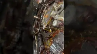 2007 GMC Acadia Timing Chain replacement in the vehicle #love #amazing #funny #live #cats 7-19-23￼