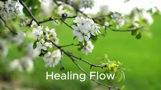 Deep Meditation Music with Flowing Water | Relax, Heal, Sleep