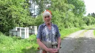 beeB project interview with Clara Marlow from Norway