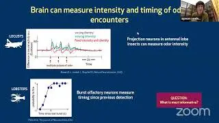 Agnese Seminara: Olfactory prediction and navigation