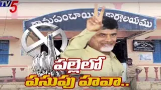 Panchayat Elections Result : పల్లెలో పసుపు హవా..! | TDP Victory in AP Panchayat Elections | TV5 News