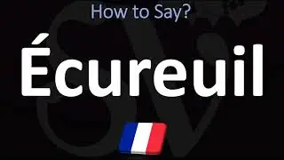 How to Say Squirrel in French? | Pronounce Ecureuil