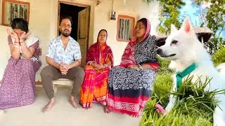 গোলুকে নিয়ে আজ আপনাদের সব বললাম |