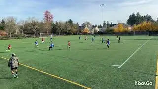 Blue Panda Squad v Borough Boyz Semi final 11/9/2025