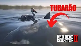 JOGANDO DE PELICANO - Tubarões e Jacarés no caminho - Red Dead Redemption 2