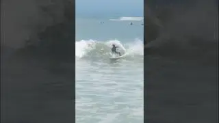 FREESURF 🏄🏻&zwj;♂️ #freesurf #music