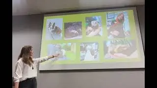 Animal Ethics In Pet Stores - Short Course