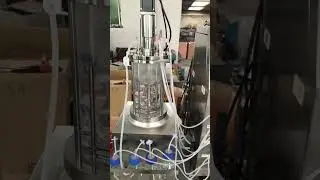 5L Glass Fermentation Tank, designed specifically for small-scale microbial fermentation.