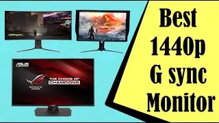 Best 1440p G Sync Monitor In 2022