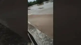 Mej ndi