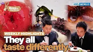 [Weekly Highlights] They all taste differently! [Boss in the Mirror] | KBS WORLD TV 240921