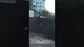 Epic Cat Hunting Skills Caught on Camera!
