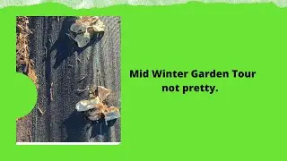 Mid Winter garden tour. Disaster