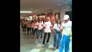 Skip Daley for Monroe County Council Flash Mob Conga Line Part 1
