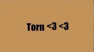 one direction- torn w/ lyrics