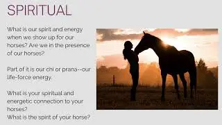 The Four Dimensions to Equine Wisdom & Wellness