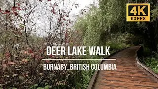 Peaceful Walk Around Deer Lake Park 🌿 | Burnaby BC | Nature Sounds & Scenic Views in 4K #canada