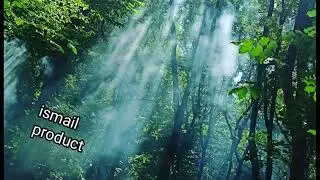 MR & AT &ndash; Грустная музыка