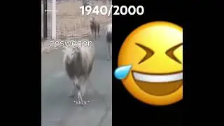 #2homiedawgs #funny #witzig #gntm #lachen #lustig #meme #animals #tiere #trending