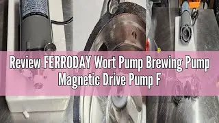 Review FERRODAY Wort Pump Brewing Pump Magnetic Drive Pump Food Safe Water Pump High Temp Pump Stain