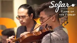Flame of the Forest - Tree of Life | Sofar Singapore
