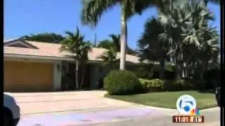 Homeland security raids