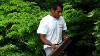 Lyon Metal Roofing