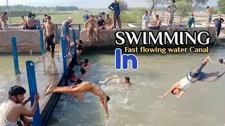 Desi Boys Bathing In Fast Flowing Water Canal | Swimming In Deep Water Village Canal Pakistan