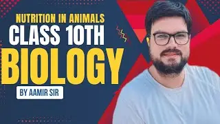  Nutrition in Animals | Class 10 Science | Must Watch!   #scienceshorts #biology #foryou #mustwatch 