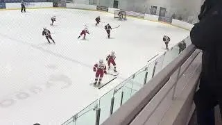 2013 Peewee Minor Fox Motors v Belle Tire