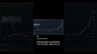 Bossbabes learto trade, are you !!! Dm to get started. #crypto #trading #cryptotrading #learntotrade