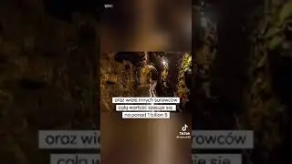 Surowce Naturalne Polski