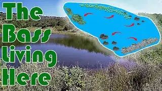 Best Way To Find BIG Largemouth Bass In Ponds.