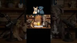 &ldquo;Feeling A-amazing&rdquo; 🤣#dogsoftiktok #funnydogvideos #dogvideos #pawcast #dogwithattitude