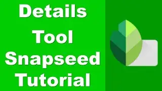 Snapseed Details Tool: A Comprehensive Tutorial