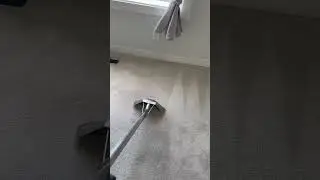 Satisfying  Carpet Cleaning Calgary