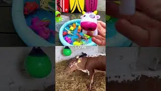 Learn Animal Names for Kindergarteners Kids: Horse Bat Cow Fish Crocodile