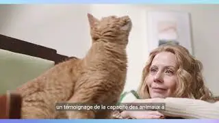 l'homme et le chat, l'histoire de la relation!!!