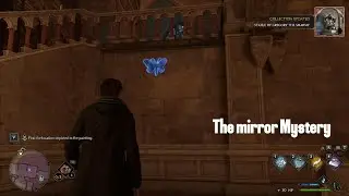 hogwarts legacy mirror butterfly