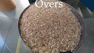 Wheat Screening