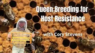 Expert queen breeder Cory Stevens sits down with Chari Elam